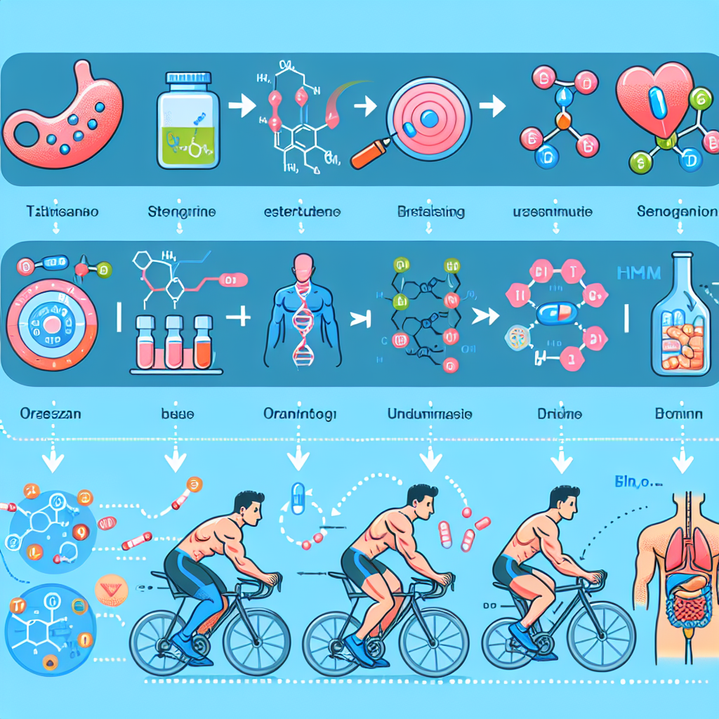 Optimierung des Trainingszyklus durch den Einsatz von Östrogenblockern (Aromatasehemmern) Optimierung des Trainingszyklus durch den Einsatz von Östrogenblockern (Aromatasehemmern)